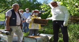 ARICILARIMIZIN DÜNYA ARI GÜNÜ KUTLANDI