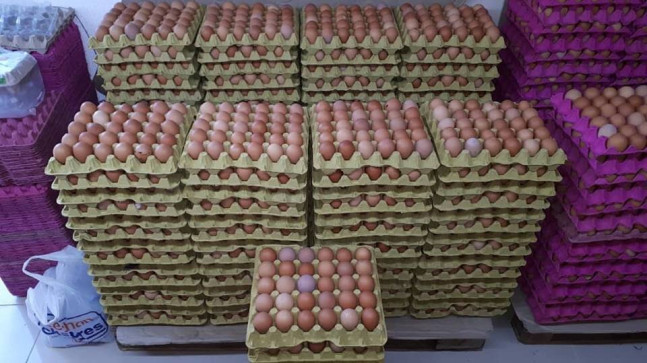 Ordu’da Altınordu Ziraat Odası yumurtanın kolisini 30 TL’ye düşürdü