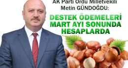 GÜNDOĞDU’DAN FINDIK ÜRETİCİLERİNE İYİ HABER “DESTEK PARALARI MART’TA HESAPLARDA”