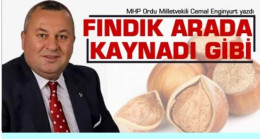CEMAL ENGİNYURT FINDIĞI YAZDI