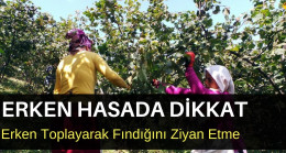 ERKEN HASADA DİKKAT!