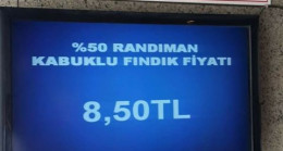 FINDIK 8.50’DEN İŞLEM GÖRÜYOR