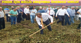 CHP’Lİ VEKİLLER FINDIĞI MECLİSE TAŞIDI