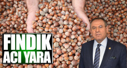 CHP’li Zeybek: ‘Fındık acı yara’