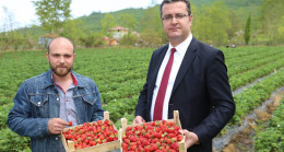 ÇİLEK YÜZ GÜLDÜRÜYOR 