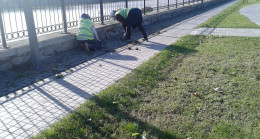 BÜYÜKŞEHİR’DEN TEMİZLİK ATAĞI 