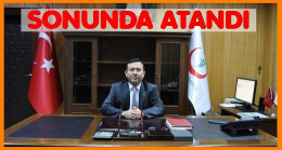 SAĞLIĞIN BAŞINA ÇINARKA