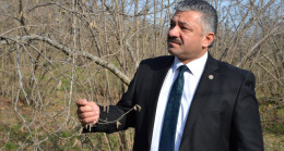 FINDIKTA AYRI FİYATA TEPKİ