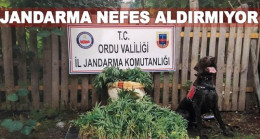 JANDARMA KOM BOŞ DURMUYOR