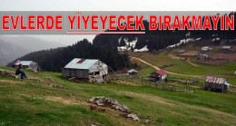 YAVUZ: YAYLADA YİYECEK BIRAKMAYIN