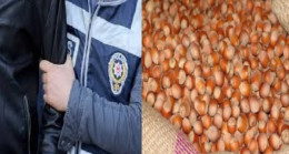 FINDIK HIRSIZLARI TUTUKLANDI