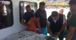 AYKIRI AVLANANLARA CEZA YAĞDI