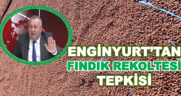 ENGİNYURT: “TÜİK NEYİN PEŞİNDE?”