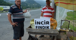 YAŞ FINDIK 15 LİRADAN TEZGAHLARDA