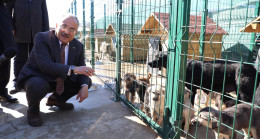 BU BARINAKTA HAYAT VAR
