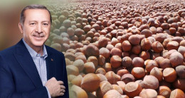 Fındık Fiyatlarından Memnun Olan Üreticiler ALLAH DEVLETİMİZE ZEVAL VERMESİN