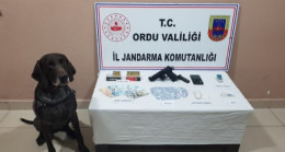 Bu Şehirde Uyuşturucuya Kaçakcılığa  Geçit Yok