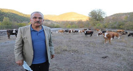 Besicilerin Tercihi Hayvan Bakım Oteli