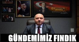 Gündoğdu: Fındıkta istikrarı yakaladık