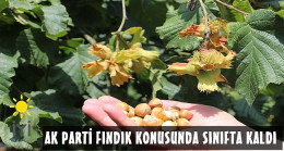 Şentürk, Fındık 35 TL Olmalı