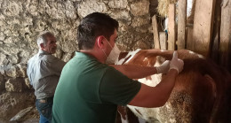 BÜYÜKŞEHİR MANAVGAT’TA