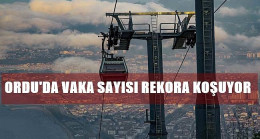 Vaka Sayısı Hızla Yükseliyor