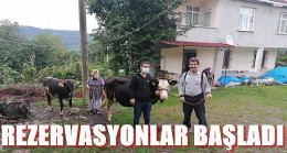 Hayvan Oteli Yeni Sezona Hazır