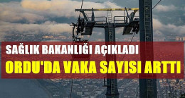 VAKA SAYISI ARTIŞA GEÇTİ