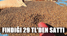 ÜRETİCİ FINDIĞI 29 TL’DEN SATTI