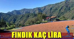 FINDIK KAÇ TL ?