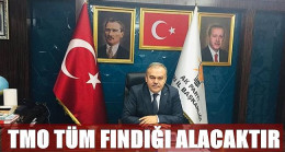 TOMAKİN: FINDIĞINIZI TMO’YA VERİN