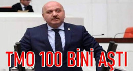 Gündoğdu: TMO 30 TL’den Fındık Aldı