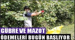 MAZOT VE GÜBRE PARALARI ÖDENMEYE BAŞLIYOR