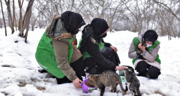 KAR’A YENİK DÜŞMEDİK…