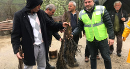 ALTINORDU’NUN YEŞİL KALKINMA SEFERBERLİĞİ DEVAM EDİYOR