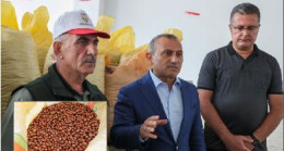 “TMO FINDIK ALIMINA BAŞLADI”