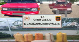 FINDIK VE KABLO HIRSIZLARI YAKALANDI