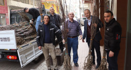 BAŞKAN GÜLER’İN TARIM PROJELERİ HIZ KESMİYOR