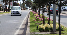 ORDU’DA ÇİÇEKLER AÇMAYA BAŞLADI