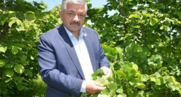 SOYDAN “Rekolte İçin Daha Erken”