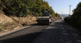 MESUDİYE GÜZELCE YOLU ASFALTLANIYOR