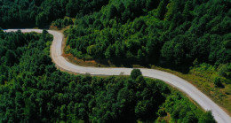 YENİ ROTA; YEŞİL YOL