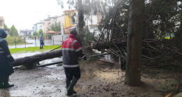 ORDU’DA ŞİDDETLİ FIRTINA ETKİLİ OLDU