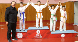 OKUL SPORLARI KÜÇÜKLER JUDO İL BİRİNCİLİĞİ TAMAMLANDI