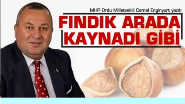 CEMAL ENGİNYURT FINDIĞI YAZDI