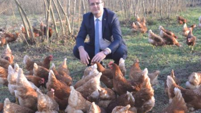 YUMURTA ÜRETİMİNDE ARTIŞ