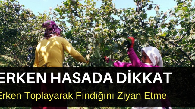 ERKEN HASADA DİKKAT!