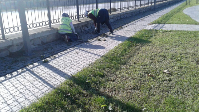 BÜYÜKŞEHİR’DEN TEMİZLİK ATAĞI 