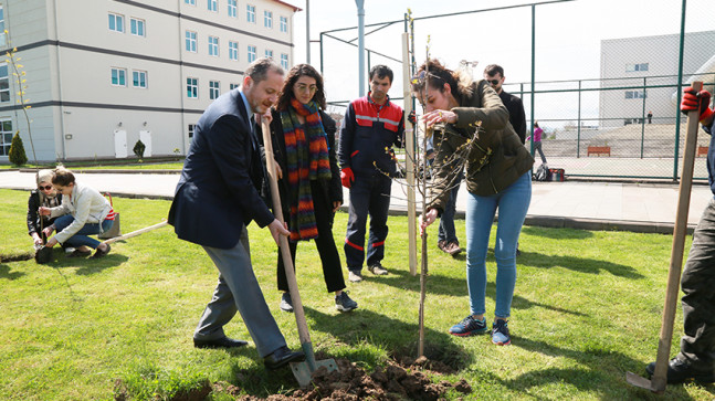 CUMHURİYET YERLEŞKESİ YEŞİLLENİYOR