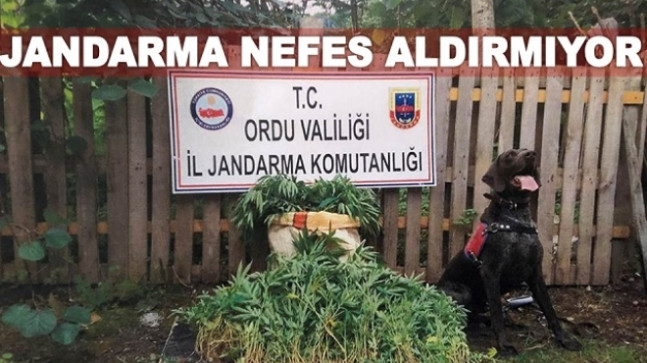 JANDARMA KOM BOŞ DURMUYOR